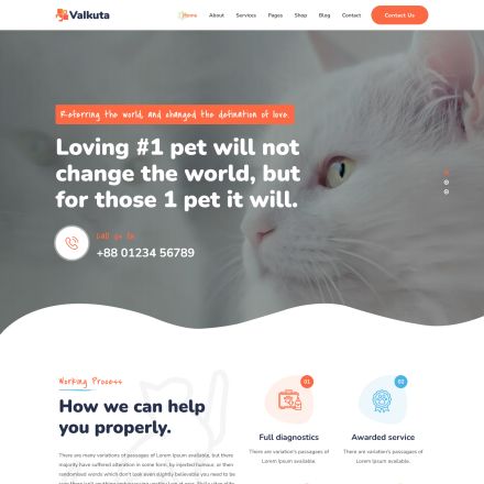 ThemeForest Valkuta