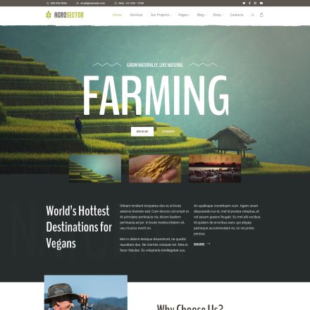 ThemeForest Agrosector