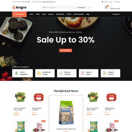 ThemeForest Angro