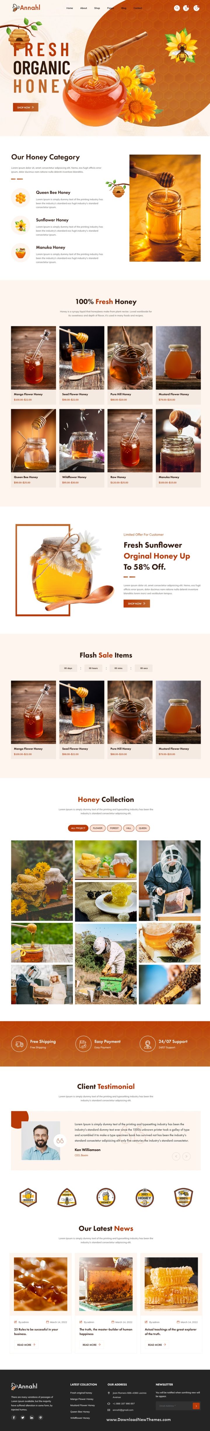 WordPress шаблон ThemeForest Annahl