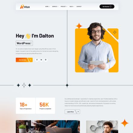 ThemeForest Antux
