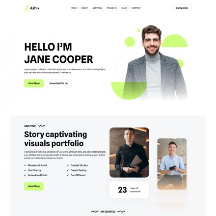 ThemeForest Ashik