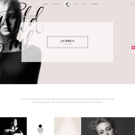 ThemeForest Audrey