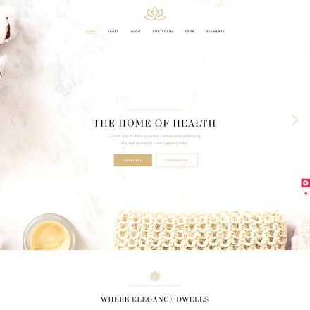 ThemeForest Aviana