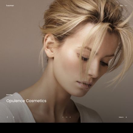 ThemeForest Bauman