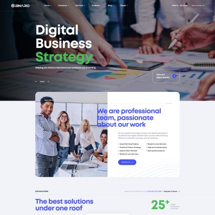 ThemeForest Binario