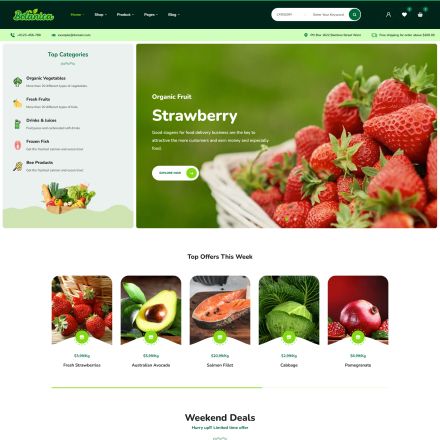 ThemeForest Botanica