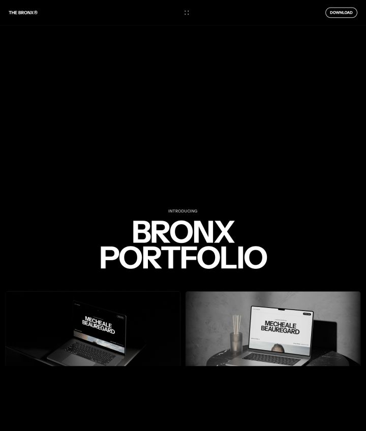 Шаблон ThemeForest Bronx WordPress шаблон ThemeForest Bronx
