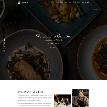 ThemeForest Candore