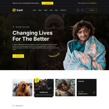 ThemeForest Carit