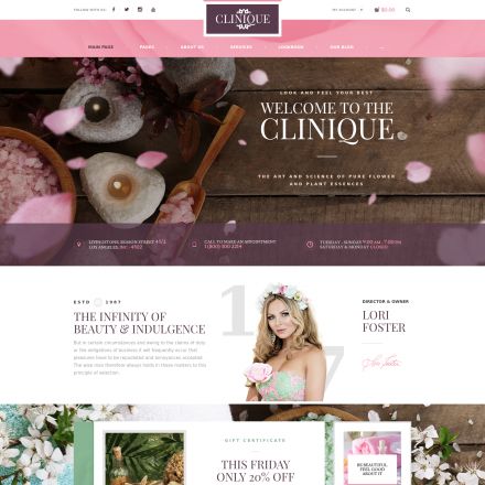 ThemeForest Clinique