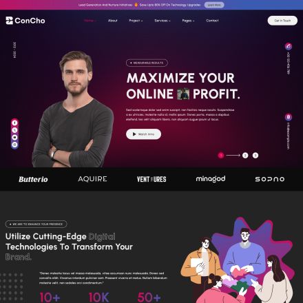 ThemeForest Concho