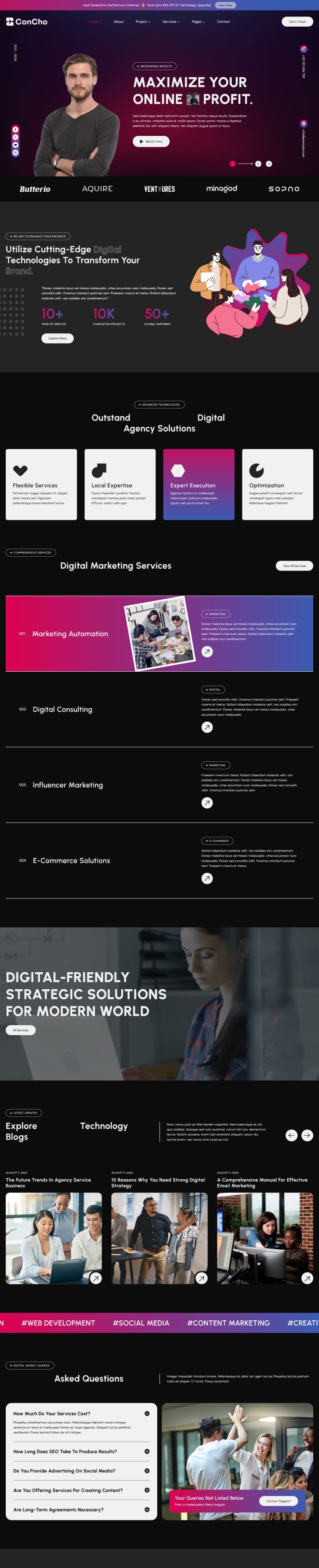 WordPress шаблон ThemeForest Concho