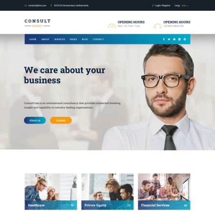ThemeForest Consult Expert