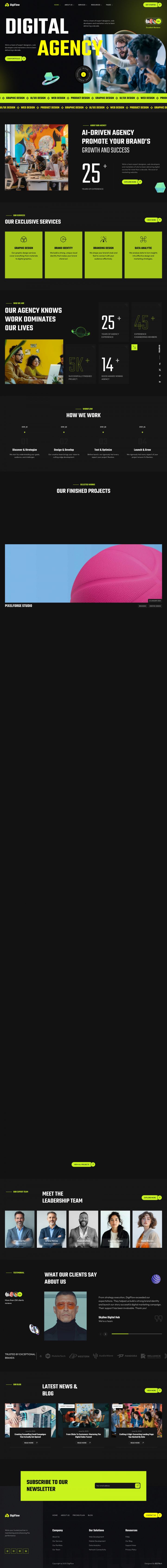 Шаблон ThemeForest DigiFlow WordPress шаблон ThemeForest DigiFlow