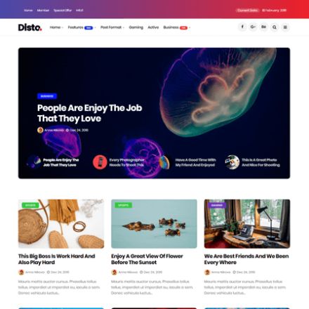 ThemeForest Disto