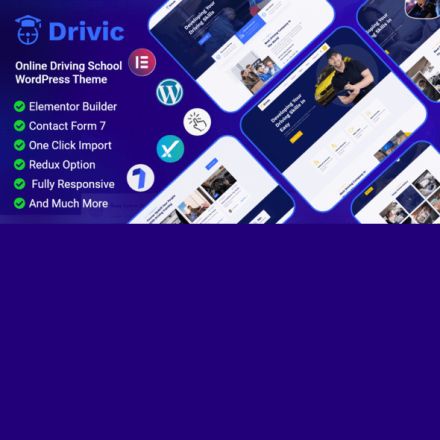 ThemeForest Drivic