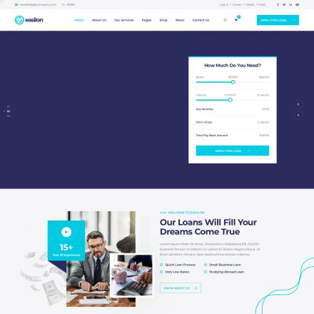 ThemeForest Easilon