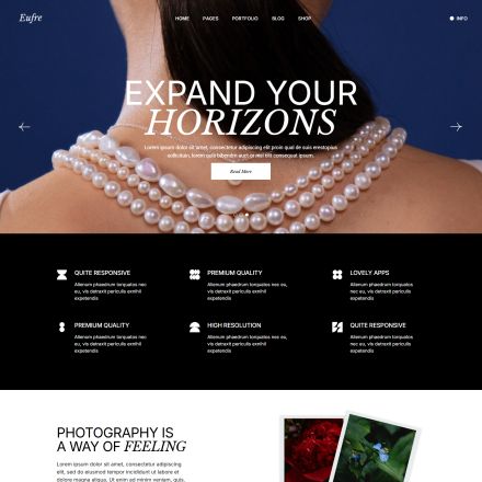 ThemeForest Eufre