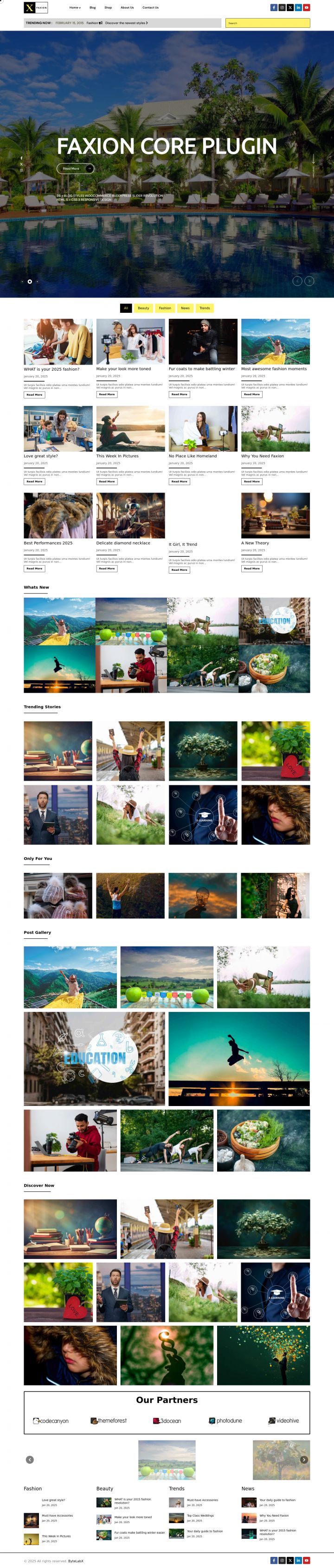 Шаблон ThemeForest Faxion WordPress шаблон ThemeForest Faxion
