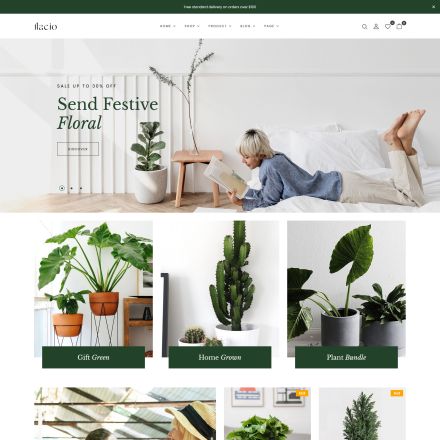 ThemeForest Flacio