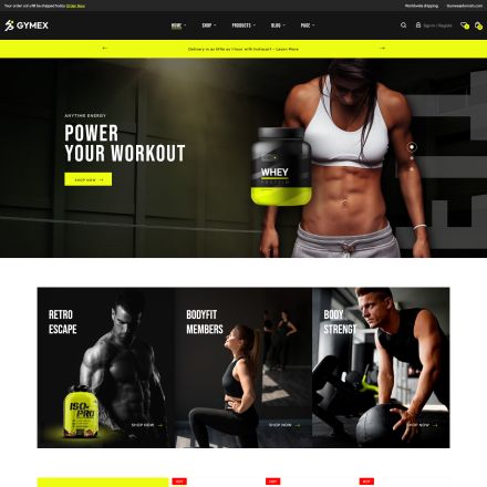 ThemeForest Gymex