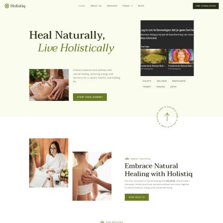 ThemeForest Holistiq