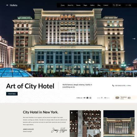 ThemeForest Holleta