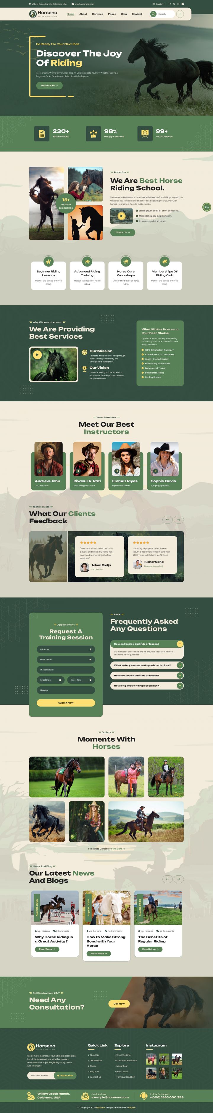 WordPress шаблон ThemeForest Horseno