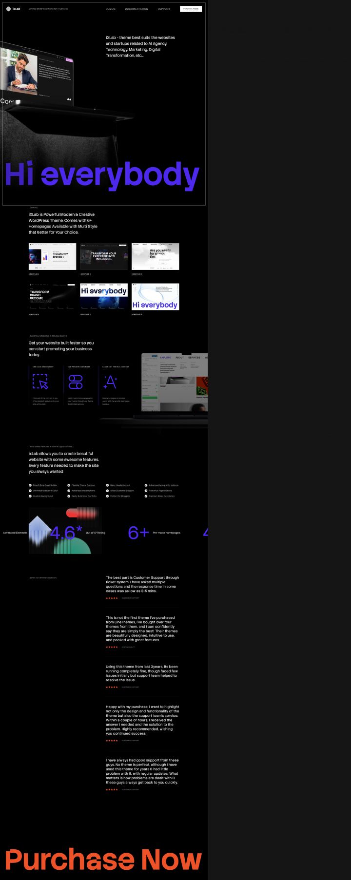 WordPress шаблон ThemeForest iXLab
