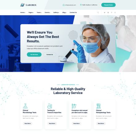 ThemeForest Laborex