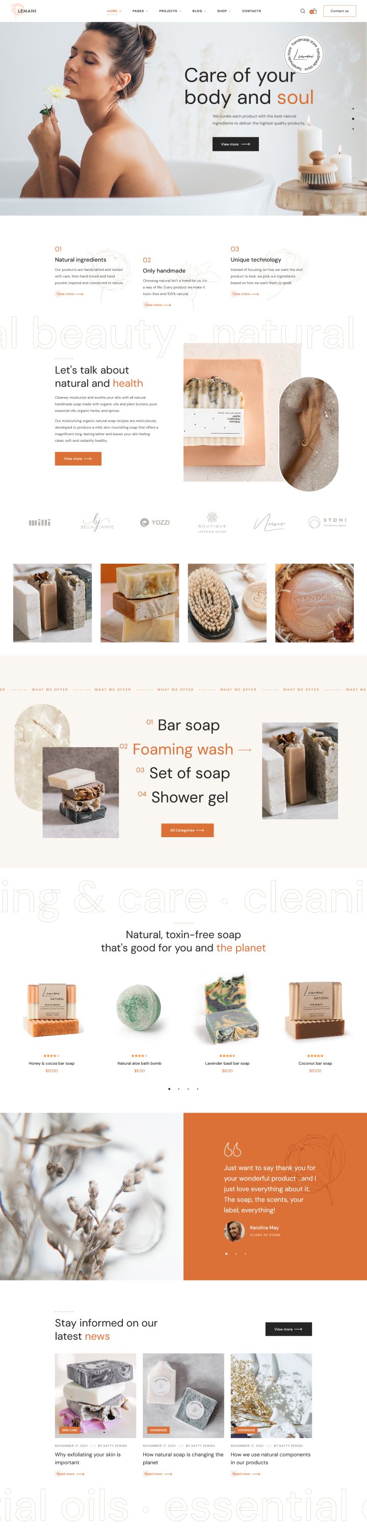 Шаблон ThemeForest Lemani WordPress шаблон ThemeForest Lemani