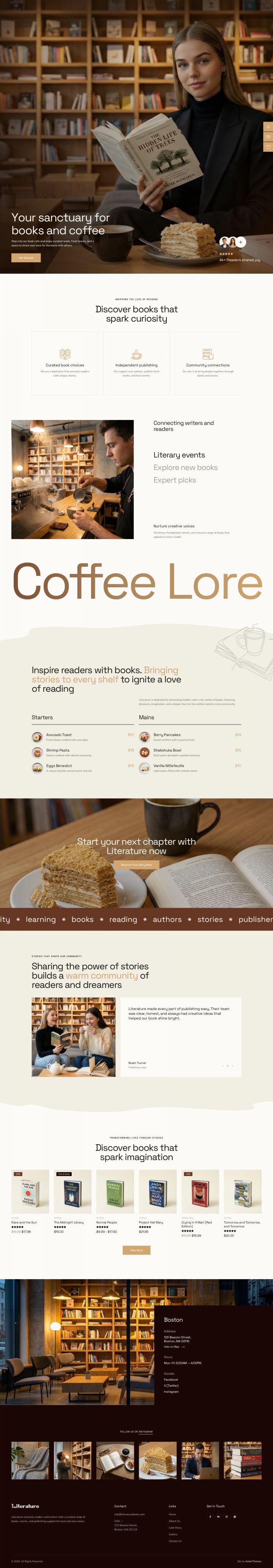 WordPress шаблон ThemeForest Literature