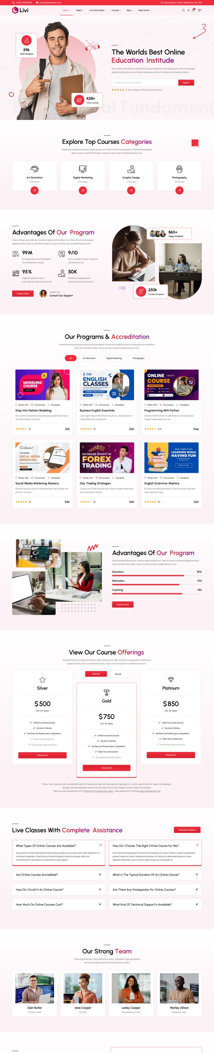 WordPress шаблон ThemeForest Livi