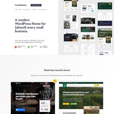 ThemeForest Local Business
