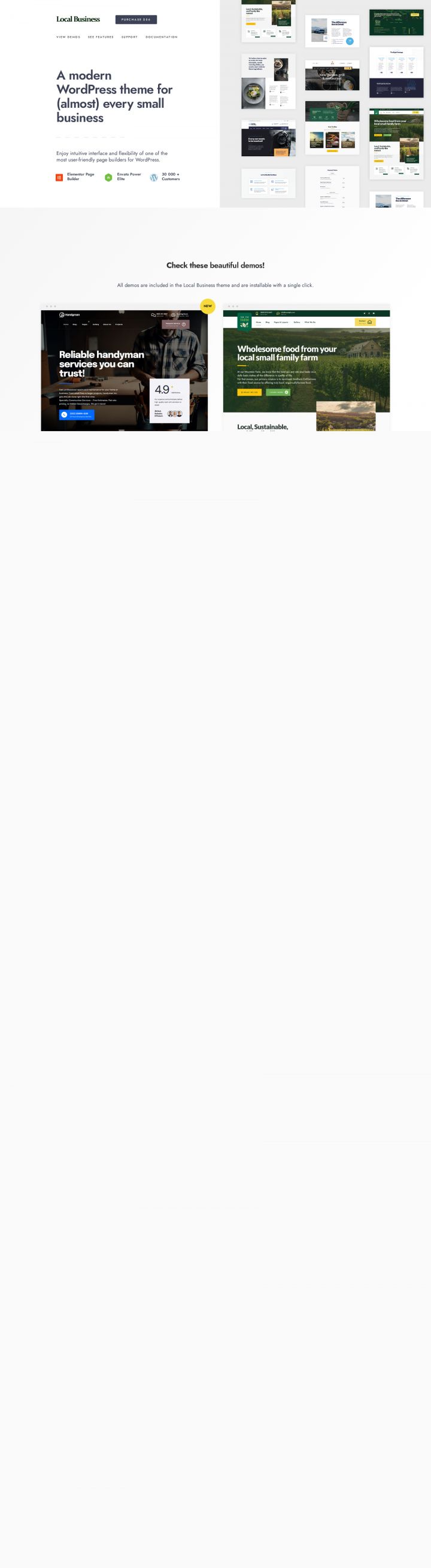 WordPress шаблон ThemeForest Local Business