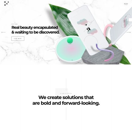 ThemeForest Mane