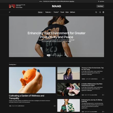 ThemeForest Maag