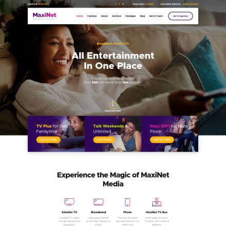 ThemeForest MaxiNet