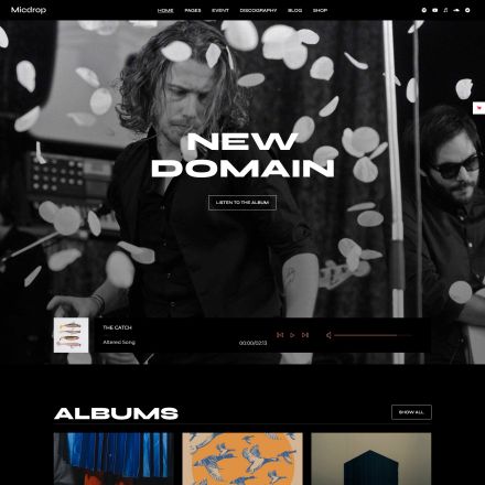 ThemeForest Micdrop