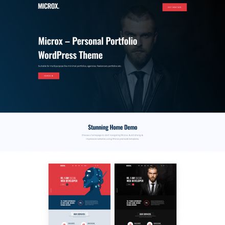 ThemeForest Microx