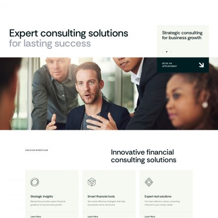 ThemeForest MoneyFlow