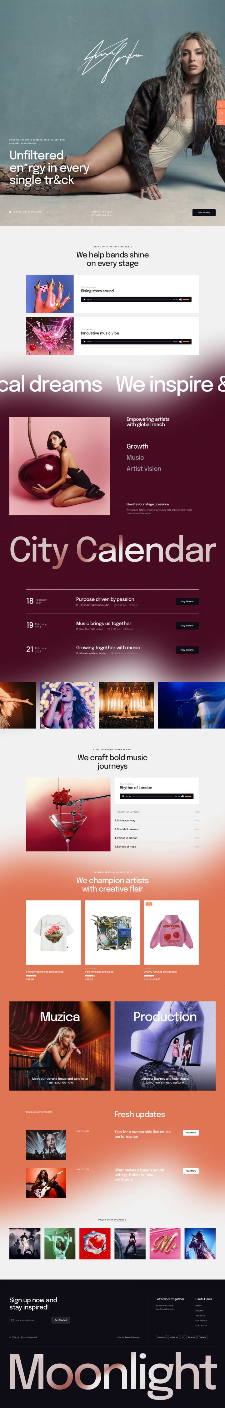 WordPress шаблон ThemeForest Muzica