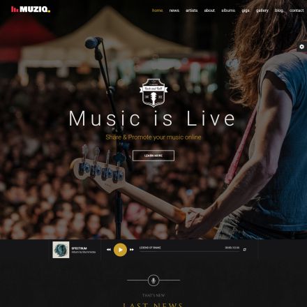 ThemeForest Muziq