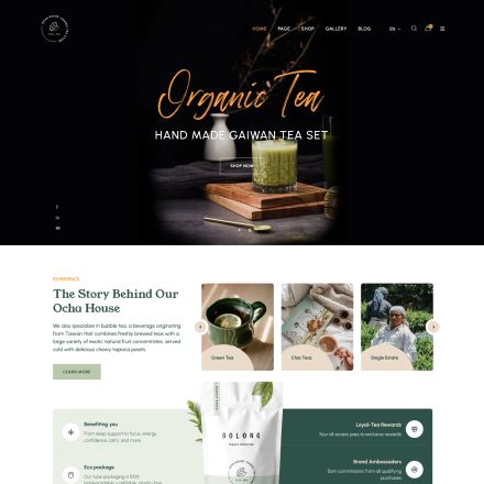 ThemeForest OchaHouse