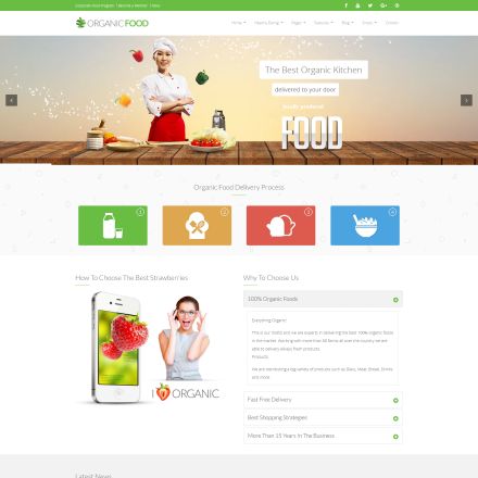 ThemeForest OrganicFood