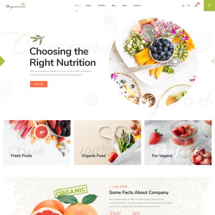 ThemeForest Organium