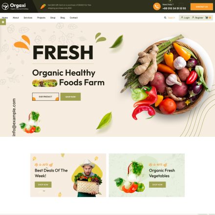 ThemeForest Orgaxi