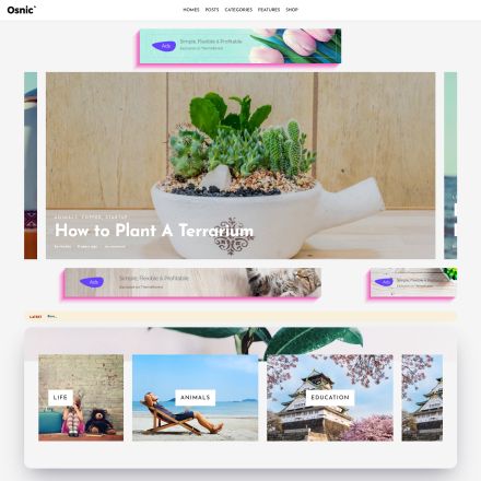ThemeForest Osnic