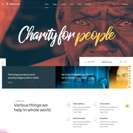 ThemeForest Philantrop
